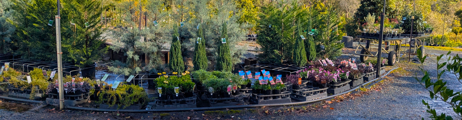 Nursery